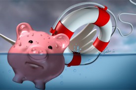 是誰說,風口上的豬都能飛起來?