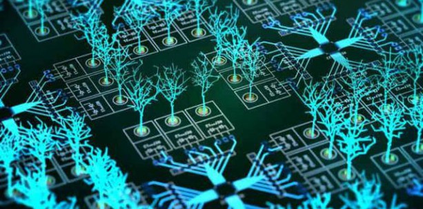 美國能源部專家:量子計(jì)算能與經(jīng)典計(jì)算共同應(yīng)對氣候變化